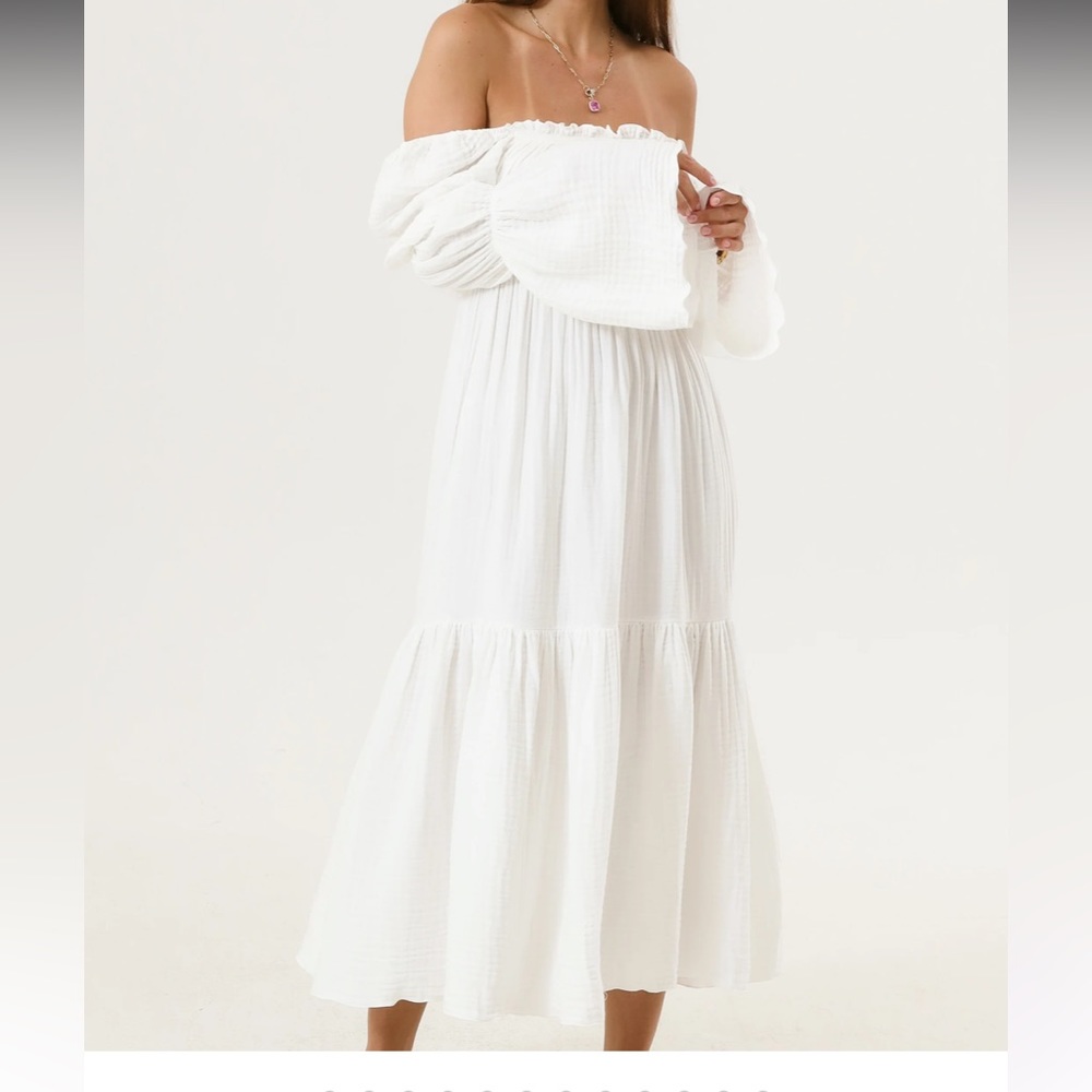 Nothing Fits But Seine Dress